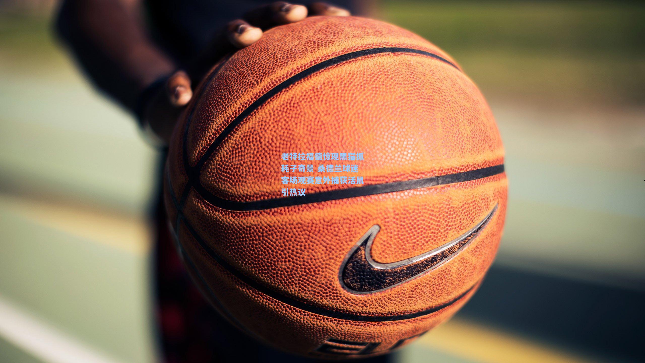 开云官网首页_老特拉福德惊现黑猫抓耗子奇景 桑德兰球迷客场观赛意外捕获活鼠引热议